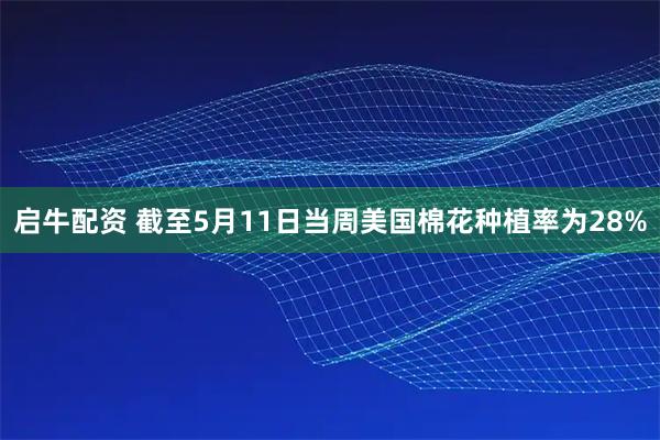 启牛配资 截至5月11日当周美国棉花种植率为28%