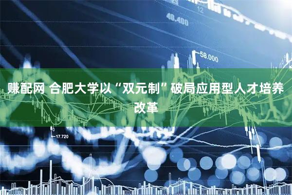 赚配网 合肥大学以“双元制”破局应用型人才培养改革