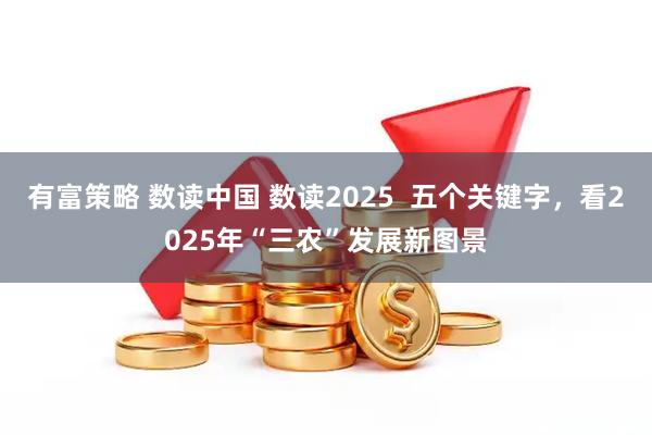 有富策略 数读中国 数读2025  五个关键字，看2025年“三农”发展新图景
