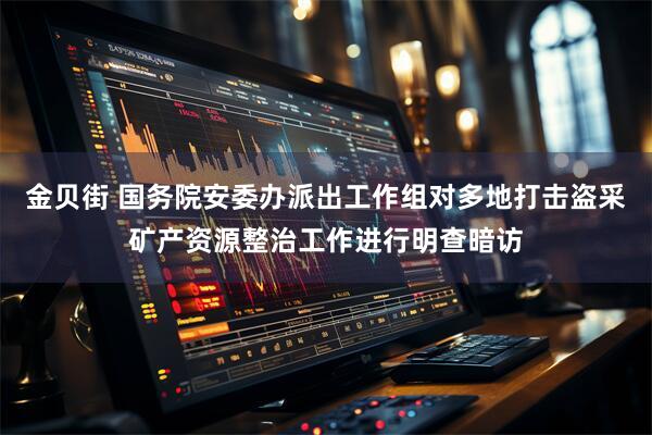 金贝街 国务院安委办派出工作组对多地打击盗采矿产资源整治工作进行明查暗访