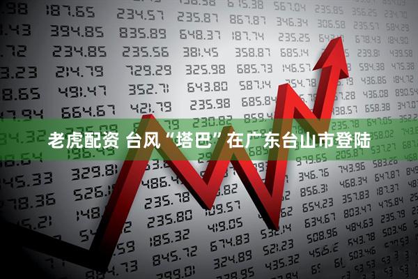 老虎配资 台风“塔巴”在广东台山市登陆